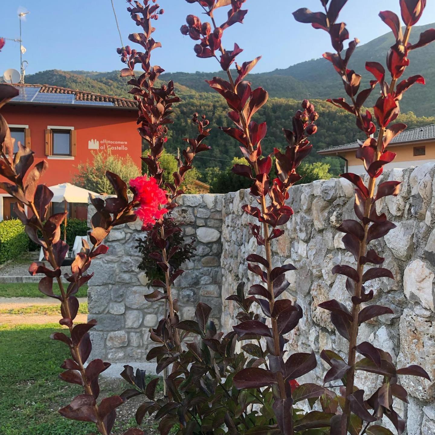 Affittacamere Al Castello Travesio Εξωτερικό φωτογραφία